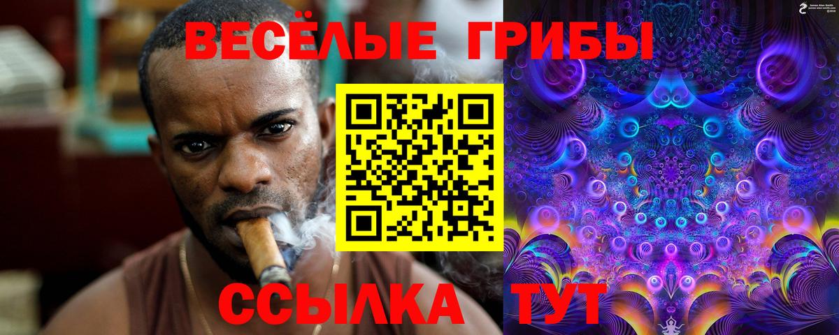 Артёмовский  Псилоцибиновые грибы ЛСД  Вход с VPN 